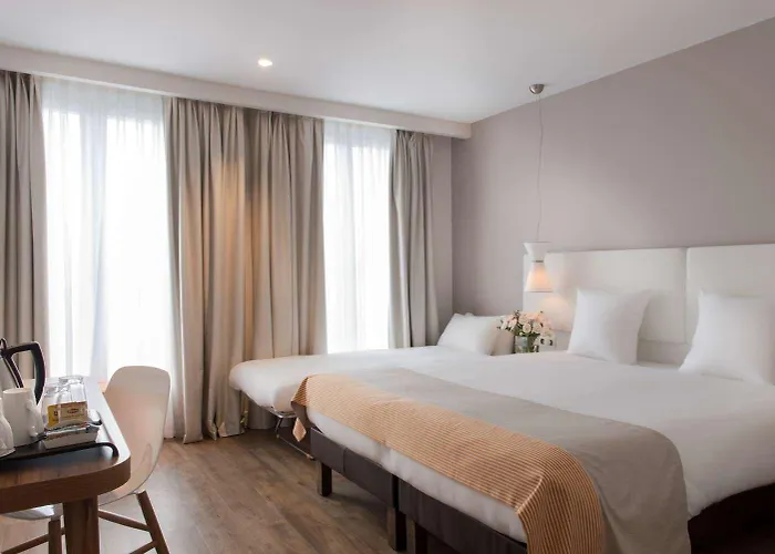 Magenta 38 By Happyculture